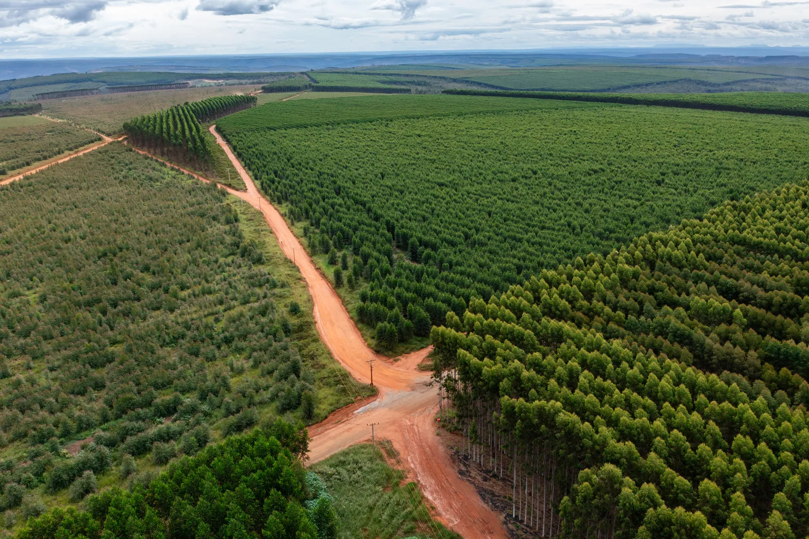 A Aperam BioEnergia administra aproximadamente 150 mil hectares no Vale do Jequitinhonha (MG), abrangendo os municípios de Capelinha, Itamarandiba, Carbonita, Minas Novas, Turmalina e Veredinha. Todas as áreas pertencem à Aperam South America e são geridas pela empresa, sem utilização de terras arrendadas ou áreas de fomento florestal.